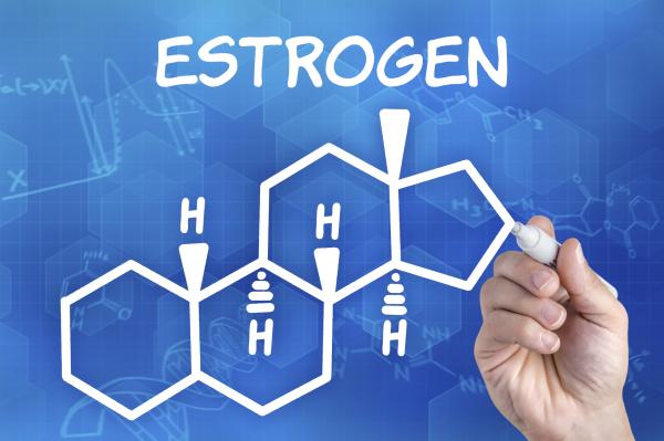 Estrogen có vai trò rất quan trọng trong nội tiết tố nữ. Vì vậy cần bổ sung estrogen cho tuổi dậy thì