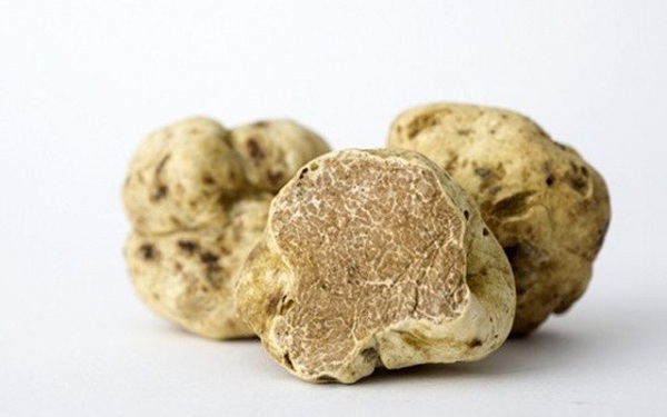Nấm truffle - món ăn tăng ham muốn cho phụ nữ sau sinh