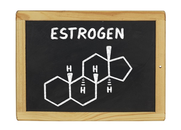 Nội tiết tố estrogen là gì?