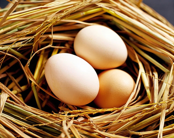 Sử dụng trứng gà trị rạn da đơn giản