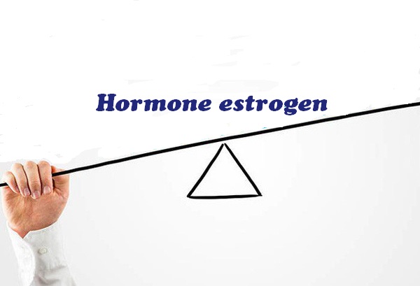 Hormone estrogen trong cơ thể bị mất cân bằng dẫn đến rối loạn nội tiết sau sinh