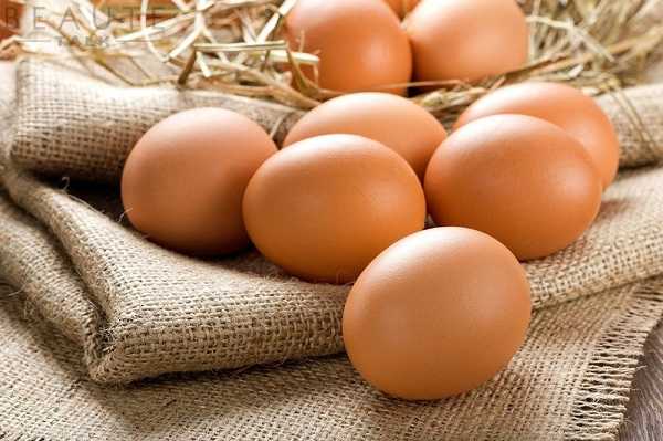 Bổ sung protein từ trứng gà