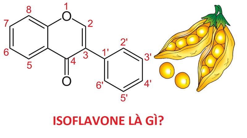 isoflavone, isoflavone trong đậu nành, isoflavone có ở đâu, isoflavone là chất gì, tinh chất isoflavone, isoflavones có trong thực phẩm nào, isoflavone mầm đậu nành, isoflavone trong đậu nành có tác dụng gì, nano isoflavone, isoflavone review